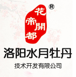 水月牡丹，洛陽水月牡丹技術開發有限公司